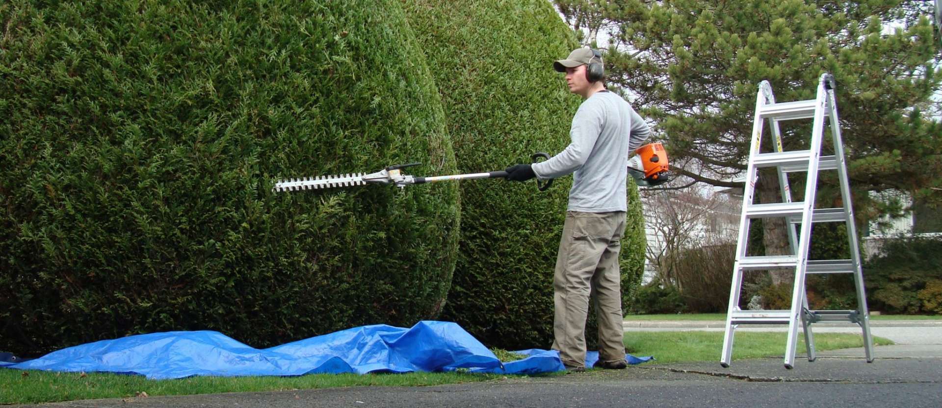 Shrubs & Tree trimming Toronto - Midtown Landscaping Inc.